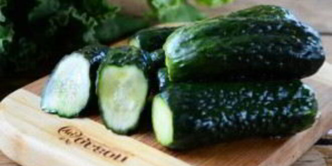 Рецепт малосольных огурцов за сутки