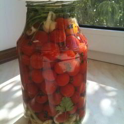 Рецепт Малосольных помидорчиков 3-х дневки