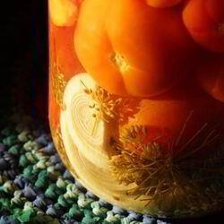 Рецепт Малосольных помидоров с хреном