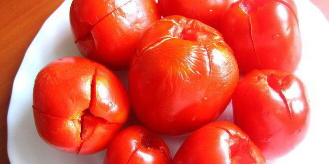 Рецепт малосольных помидоров суточных