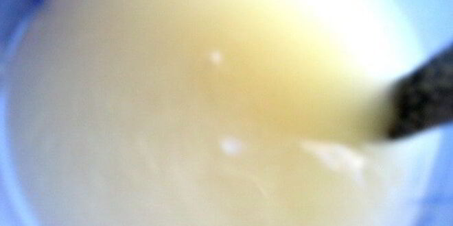 Рецепт малосольных помидоров суточных