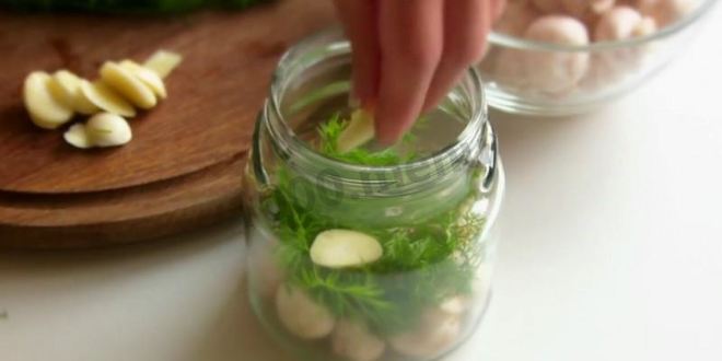 Рецепт малосольных шампиньонов