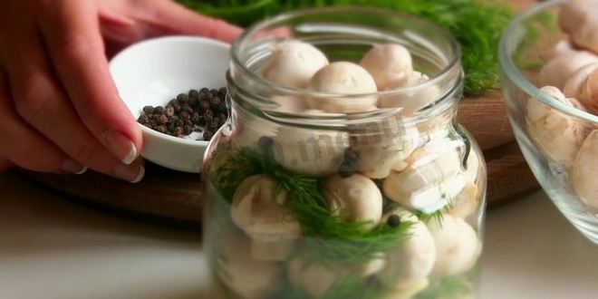 Рецепт малосольных шампиньонов