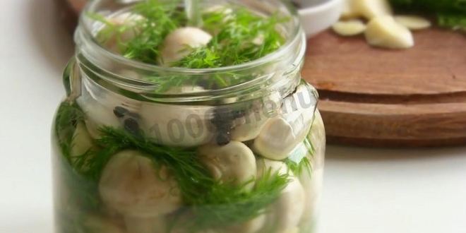 Рецепт малосольных шампиньонов