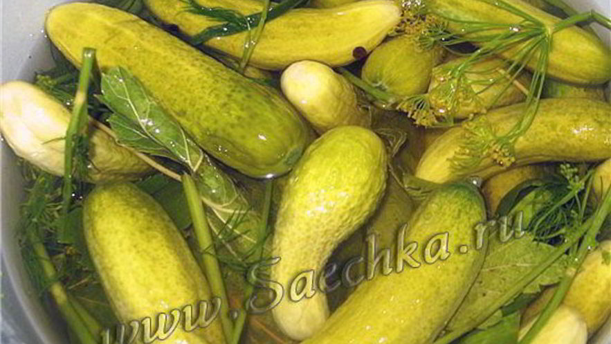 Рецепт огурцов малосольных
