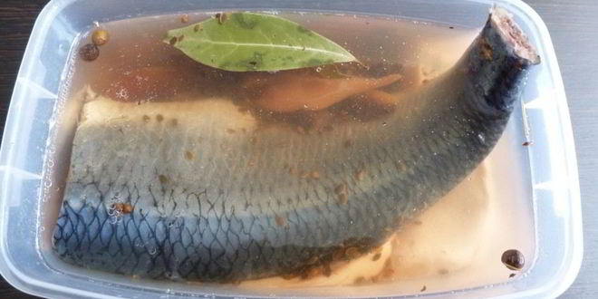 Рецепт сельди домашнего посола