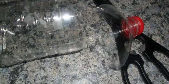 Рецепт скумбрии домашнего посола