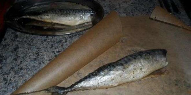 Рецепт скумбрии домашнего посола