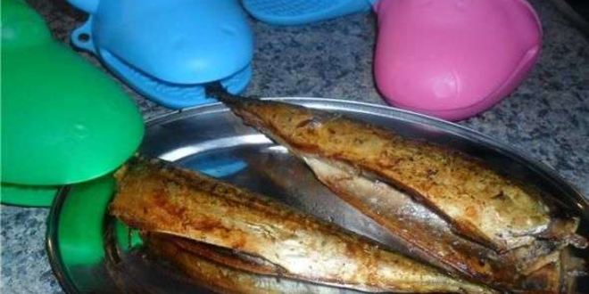 Рецепт скумбрии домашнего посола
