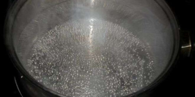 Рецепт скумбрии домашнего посола