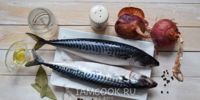 Рецепт скумбрии малосольной