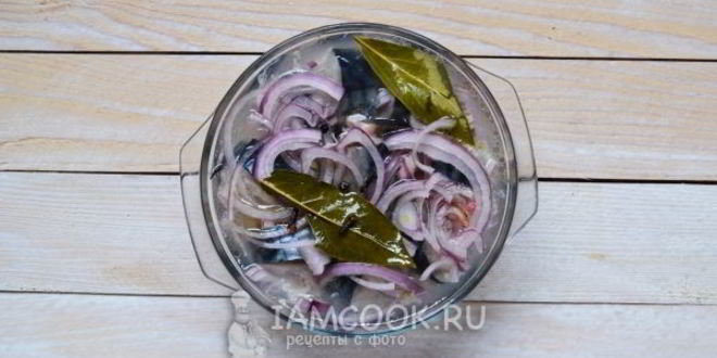 Рецепт скумбрии малосольной