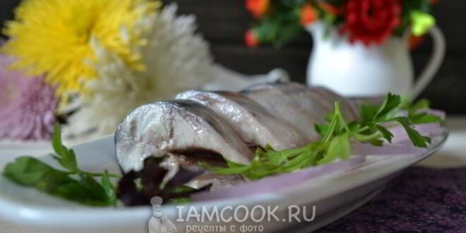 Рецепт скумбрии малосольной
