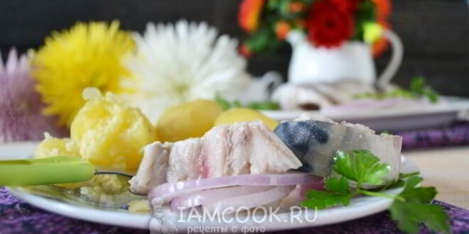 Рецепт скумбрии малосольной