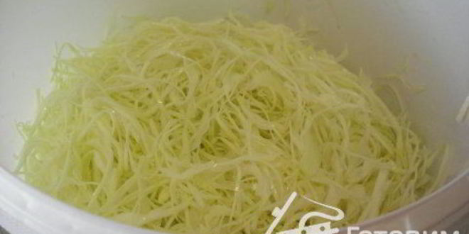 Рецепт соленой капусты