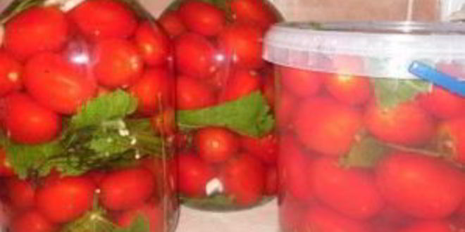 Рецепт соленых помидоров без закатки