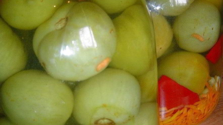 Рецепт зеленых помидоров