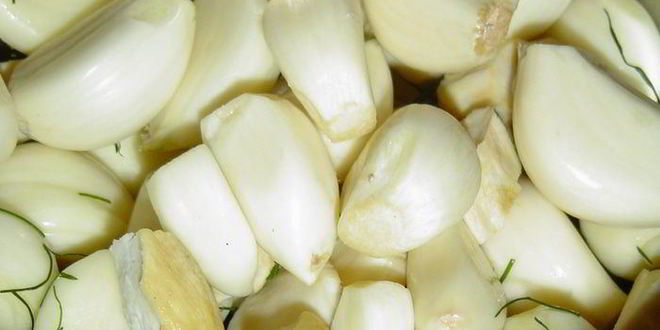 Рецепт зеленых помидоров