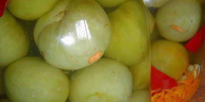 Рецепт зеленых помидоров