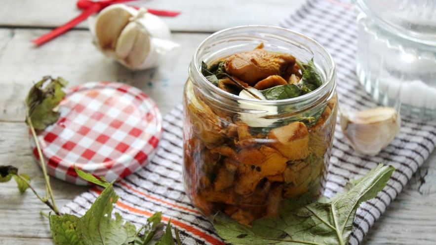 Рецепт соленых лисичек на зиму