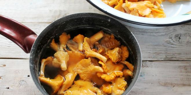 Рецепт соленых лисичек на зиму