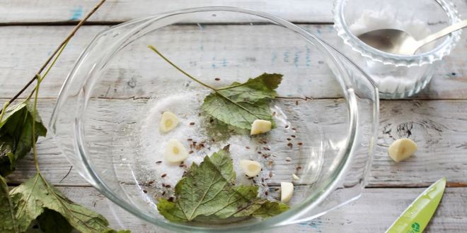 Рецепт соленых лисичек на зиму