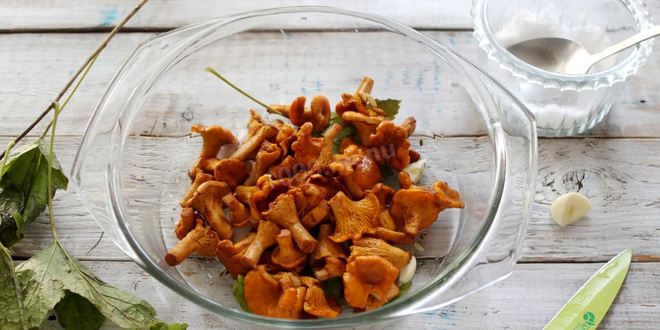 Рецепт соленых лисичек на зиму