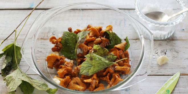 Рецепт соленых лисичек на зиму