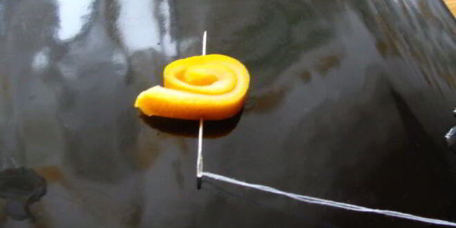 Рецепт варенья из апельсиновых корочек