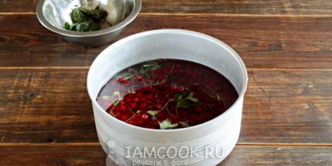 Рецепт варенья из красной смородины 5-минутка
