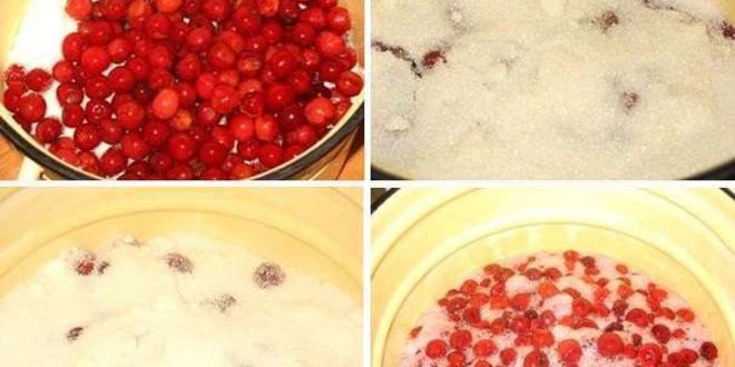 Рецепт варенья из войлочной вишни