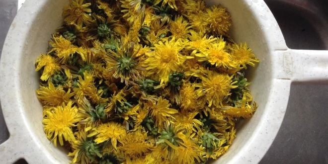 Рецепт варенья любви из одуванчиков