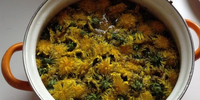 Рецепт варенья любви из одуванчиков