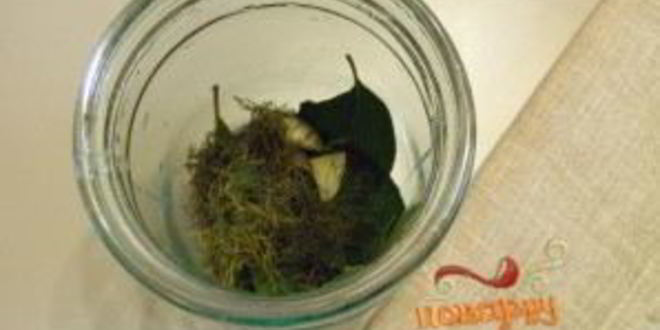 Рецепт закатки томатов на зиму