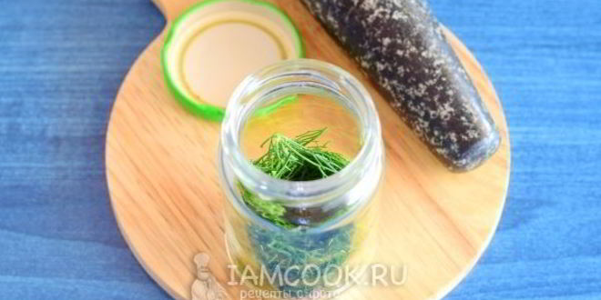 Рецепт засолки укропа на зиму