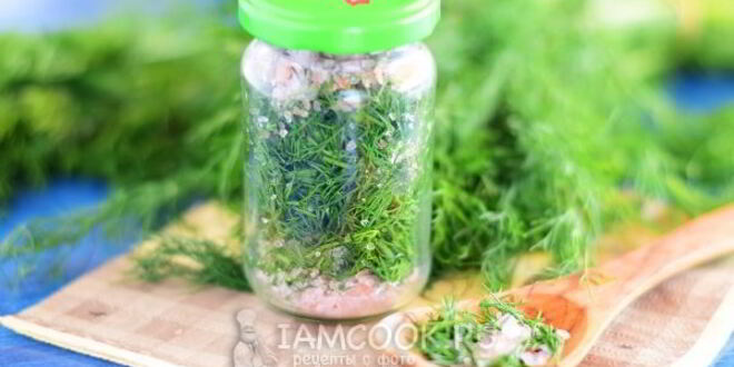 Рецепт засолки укропа на зиму