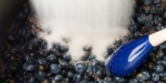 Рецепт желе из ягод на зиму