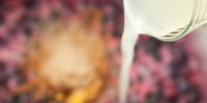 Рецепт желе из ягод на зиму