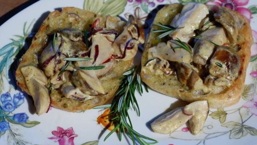 Рецепт брускетты с белыми грибами, чили и розмарином