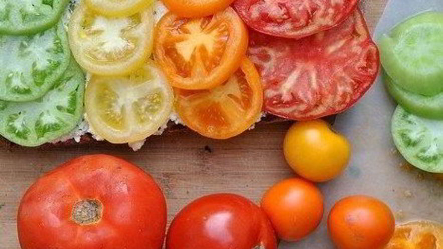 Рецепт брускетты с помидорами и творожной намазкой из базилика