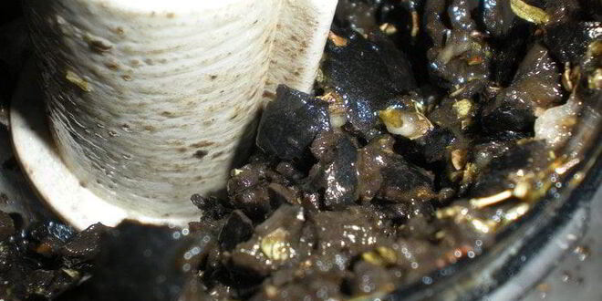 Рецепт оливковой брускетты