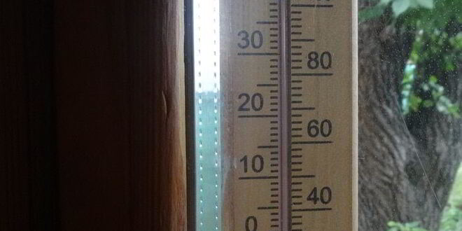 Рецепт бургера с курицей, омлетом и огурцом