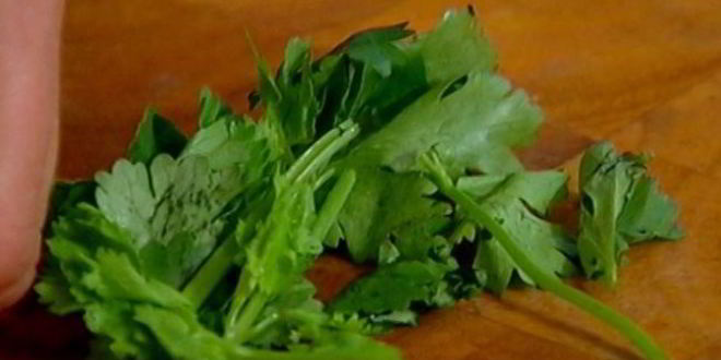 Рецепт овощных бургеров