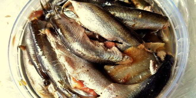 Рецепт бутерброда килька, картошка, киви