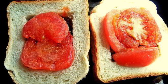 Рецепт бутербродов с фаршем