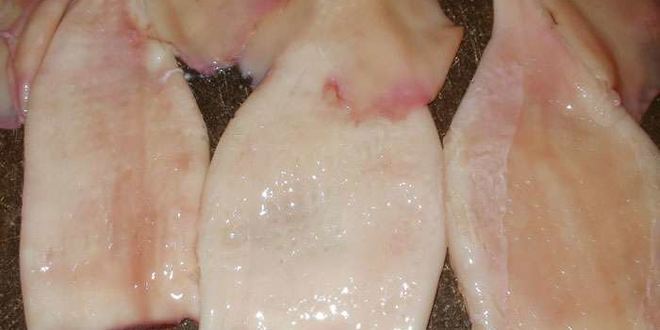 Рецепт фаршированных кальмаров с рисом и яйцом