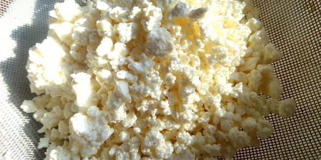 Рецепт горячих творожных гренков