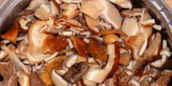 Рецепт грибной икры из сушеных грибов