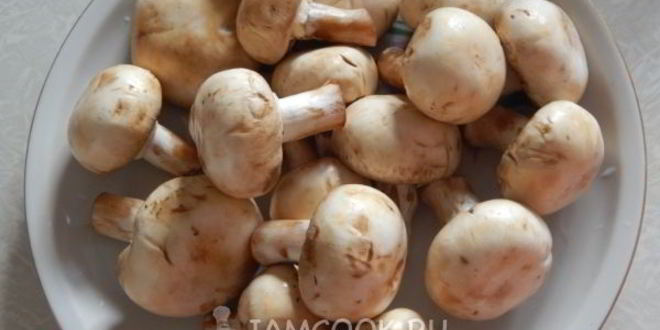 Рецепт грибной икры с помидорами