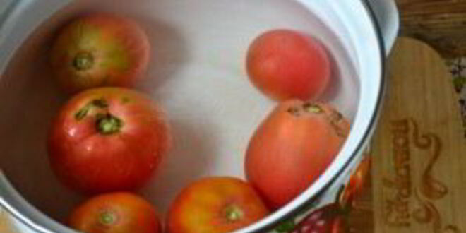 Рецепт овощной икры с грибами на зиму